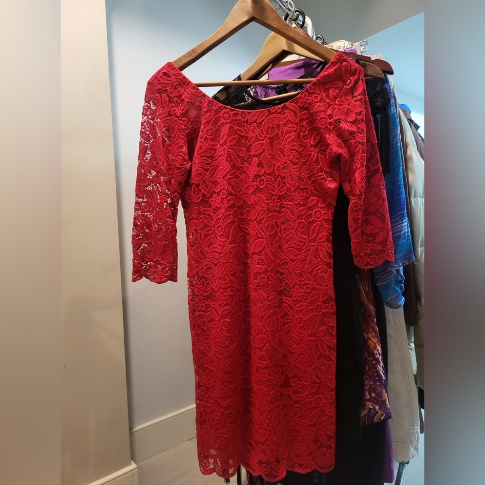 Elegant Red Lace Mini Holiday Dress